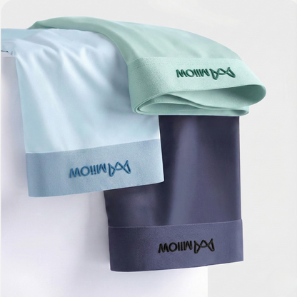 Kit 3 Cuecas Seda Gelo Elastano Anti Odor Anti Bacteriana